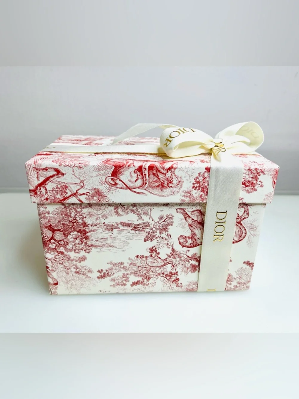 Christian Dior Red Toile de Jouy Small Gift Box with Ribbon 7